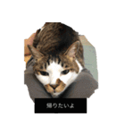 帰りたい動物達（個別スタンプ：6）