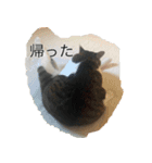 帰りたい動物達（個別スタンプ：7）