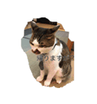 帰りたい動物達（個別スタンプ：10）