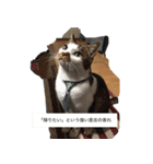 帰りたい動物達（個別スタンプ：12）