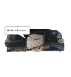 帰りたい動物達（個別スタンプ：13）