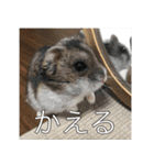 帰りたい動物達（個別スタンプ：15）