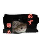 帰りたい動物達（個別スタンプ：16）