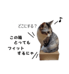 吹き出し＊猫スタンプ（個別スタンプ：32）