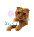 ねっこー！！（個別スタンプ：6）