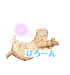 ねっこー！！（個別スタンプ：7）