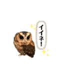かわいいふくろう（個別スタンプ：14）