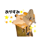 愛工スタイル（個別スタンプ：9）
