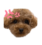 辻ファミリ〜♡（個別スタンプ：6）