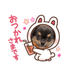 辻ファミリ〜♡（個別スタンプ：10）