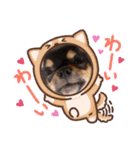 辻ファミリ〜♡（個別スタンプ：13）