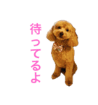 さくらのスタンプ♥（個別スタンプ：2）