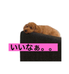 さくらのスタンプ♥（個別スタンプ：3）