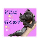 めいと、時々ももこ、少しはなちゃんw（個別スタンプ：6）