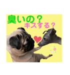 めいと、時々ももこ、少しはなちゃんw（個別スタンプ：9）