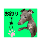 めいと、時々ももこ、少しはなちゃんw（個別スタンプ：14）