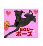 めいと、時々ももこ、少しはなちゃんw（個別スタンプ：15）