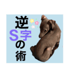 めいと、時々ももこ、少しはなちゃんw（個別スタンプ：20）