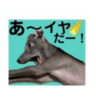 めいと、時々ももこ、少しはなちゃんw（個別スタンプ：25）