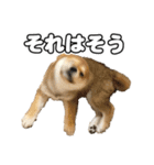 子犬よ…（個別スタンプ：32）