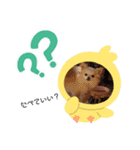 近藤ひめちゃん（個別スタンプ：2）