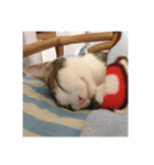 Timmy ＆ Mick ①（個別スタンプ：8）