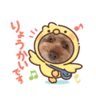 白取ファミリ〜♡（個別スタンプ：10）