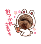 白取ファミリ〜♡（個別スタンプ：11）
