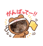 白取ファミリ〜♡（個別スタンプ：12）