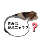 プー店長おもしろスタンプ第1弾（個別スタンプ：5）