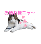 プー店長おもしろスタンプ第1弾（個別スタンプ：13）