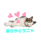 プー店長おもしろスタンプ第1弾（個別スタンプ：16）