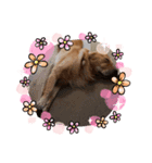 愉快な怜央23（個別スタンプ：8）