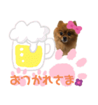ポメラニアン姫ちゃん⑩（個別スタンプ：5）