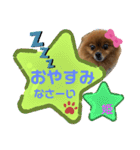 ポメラニアン姫ちゃん⑩（個別スタンプ：17）