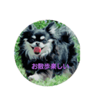 犬スタンプTOTO（個別スタンプ：4）