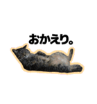 ねこ’s すたんぷ（個別スタンプ：19）
