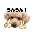 ころもの日常③（個別スタンプ：4）