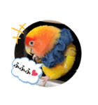 便利【コザクラインコ】＊ぴぃちゃん2（個別スタンプ：4）