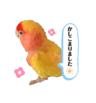 便利【コザクラインコ】＊ぴぃちゃん2（個別スタンプ：12）