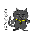 catcatcat_blackcat_graycat（個別スタンプ：2）