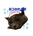 おねこさまの日常（個別スタンプ：7）