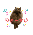 おねこさまの日常（個別スタンプ：8）