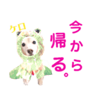 lovelyダックスフンド・アンの日常Part5（個別スタンプ：5）