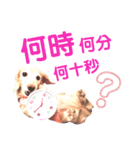 lovelyダックスフンド・アンの日常Part5（個別スタンプ：8）
