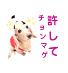 lovelyダックスフンド・アンの日常Part5（個別スタンプ：15）