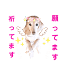 lovelyダックスフンド・アンの日常Part5（個別スタンプ：19）