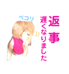 lovelyダックスフンド・アンの日常Part5（個別スタンプ：22）