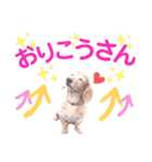 lovelyダックスフンド・アンの日常Part5（個別スタンプ：23）