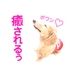 lovelyダックスフンド・アンの日常Part5（個別スタンプ：32）